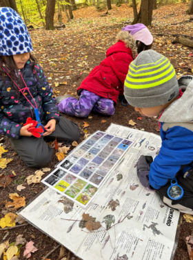 Forest School