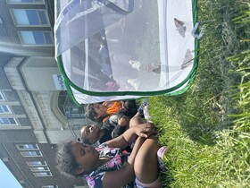 Children sit on the grass in front of a butterfly tent that contains several butterflies