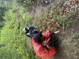 Three students in rain gear crouch beside wild mint growing beside a lake in Gatineau Park