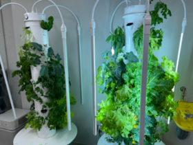 Grow Towers